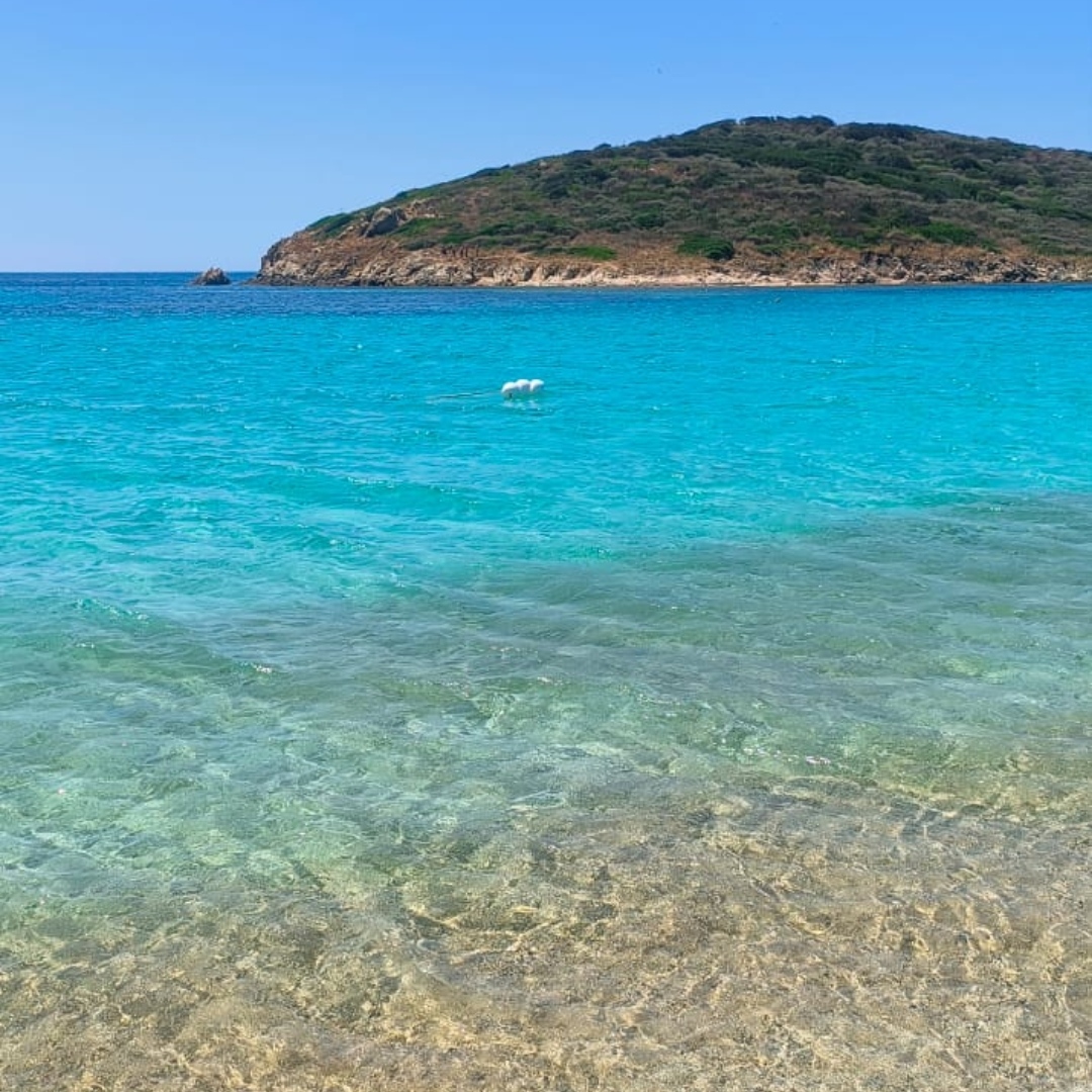 Come il mare